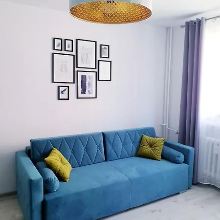 Apartament Walbrzych * 瓦乌布日赫